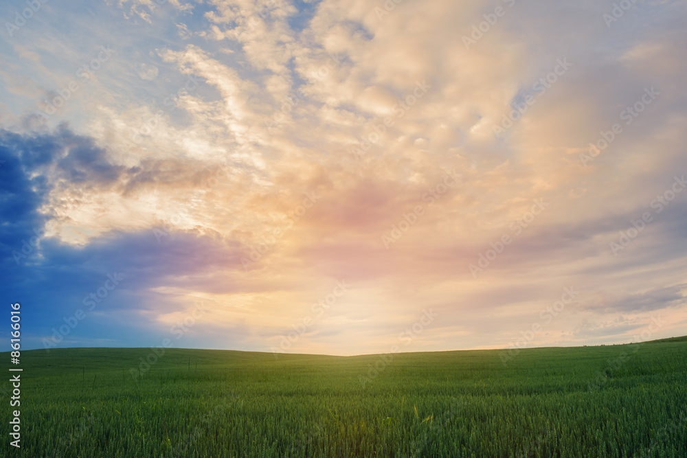 Landscape of green field over sunset