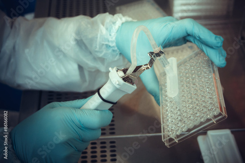 Laboratory technician working with multiwell pipette photo