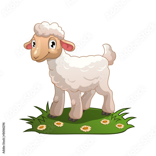 Little cartoon white lamb