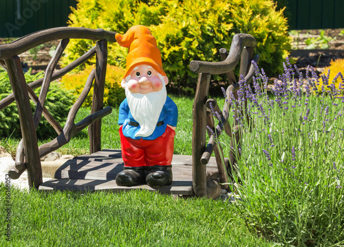 Cuadro en lienzo Wooden decorative bridge with garden dwarf  in home garden.