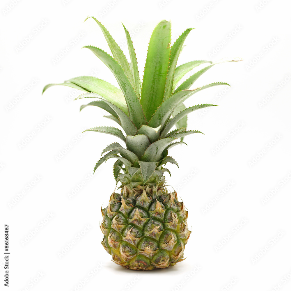 fresh pineapple on white background fresh pineapple on white background