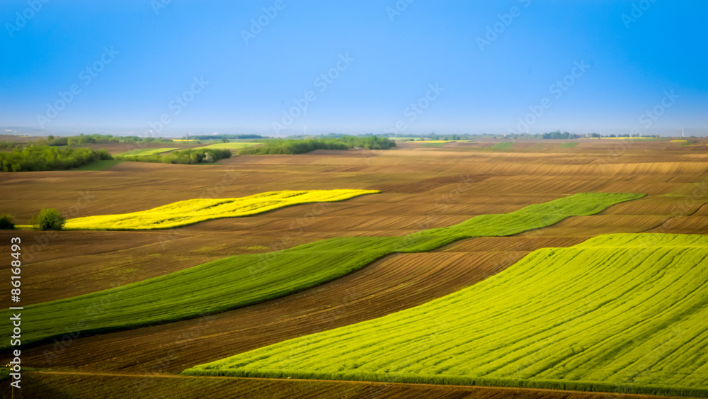 Obraz premium Old country road