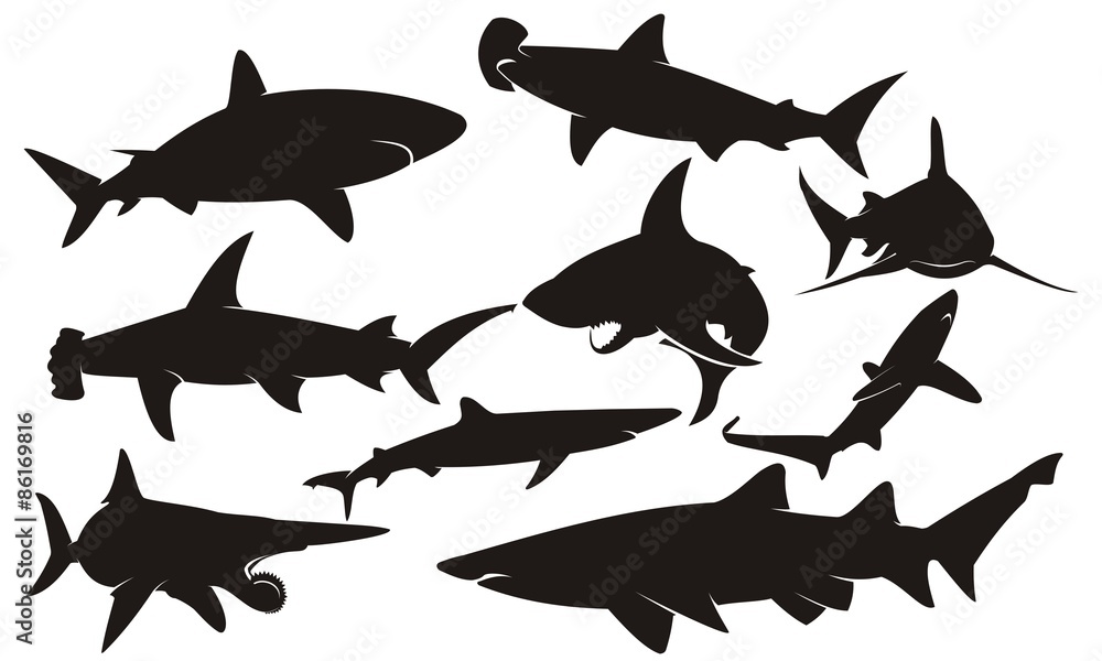 Fototapeta premium Shark silhouette. Shark vector silhouettes set. Sea fish, animal swimming, fauna illustration