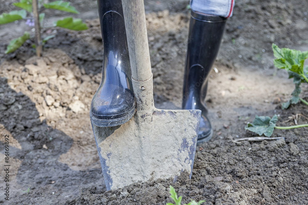 woman digging in the garden with black boots woman digging in the garden with black boots
