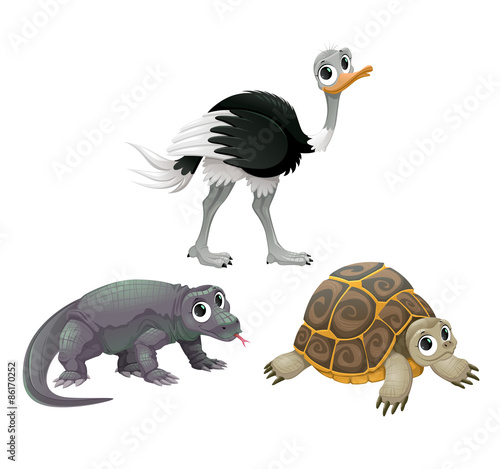 Funny Australian animals, ostrich, turtle and Komodo dragon