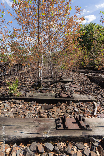 very old railways , abandoned railroad overgrown, destroyed rail track wood, 