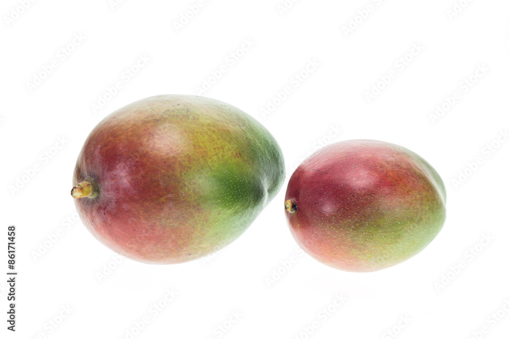 Close up big Thai mango isolated on white Close up big Thai mango isolated on white
