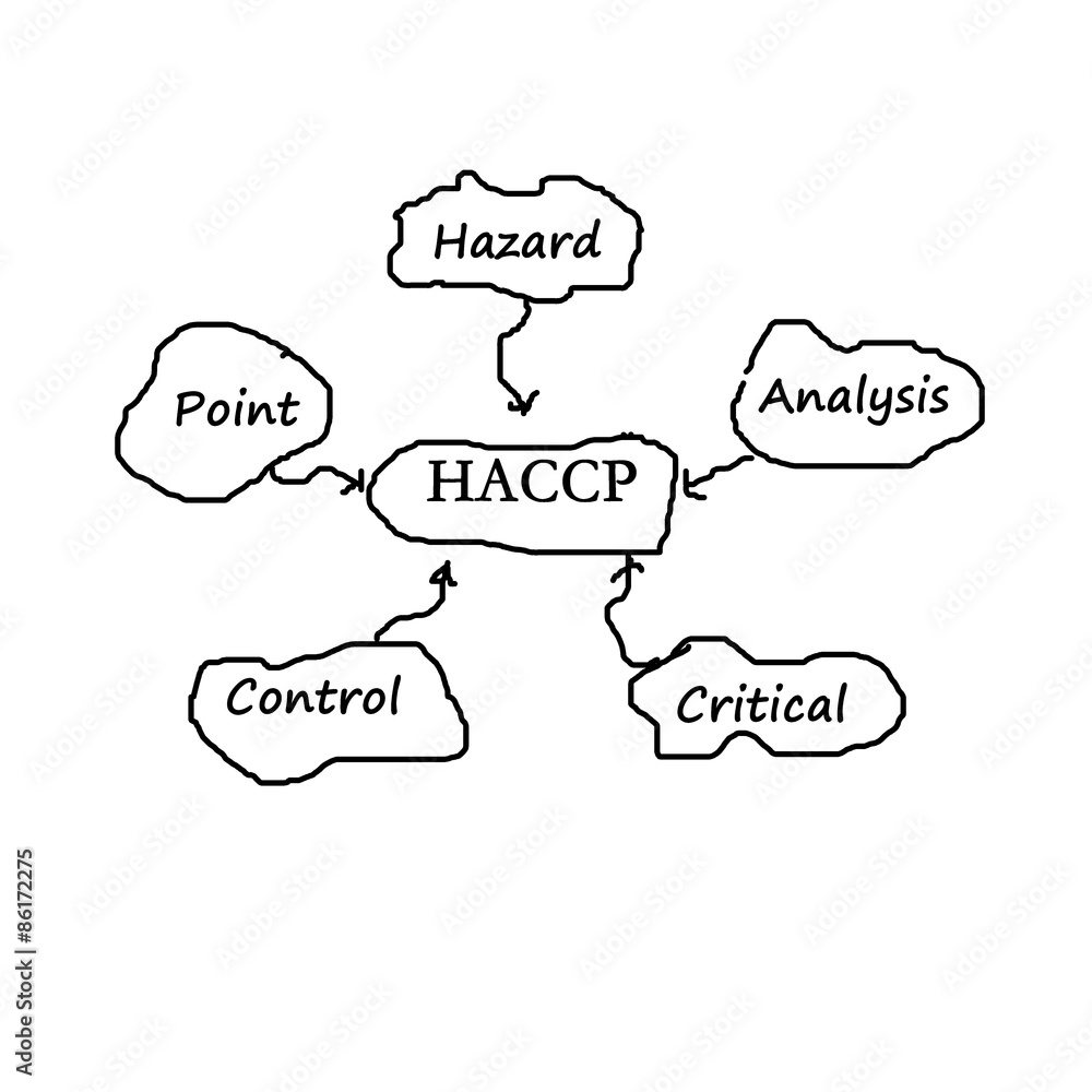 The meaning of HACCP concept (Hazard Analysis of Critical Contro The meaning of HACCP concept (Hazard Analysis of Critical Contro