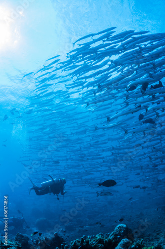 underwater world