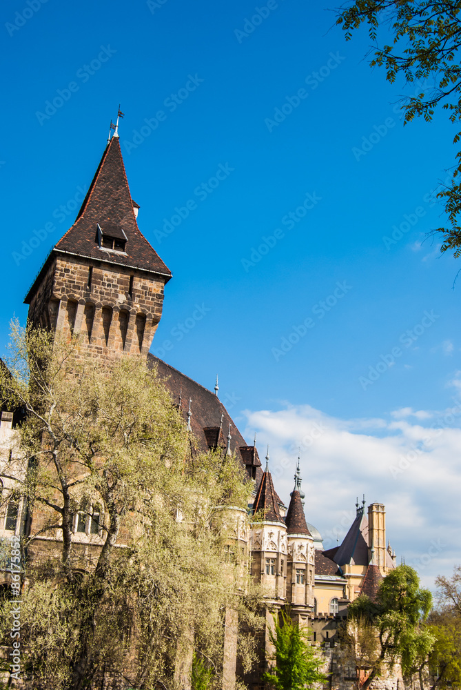 Obraz premium Vajdahunyad Castle