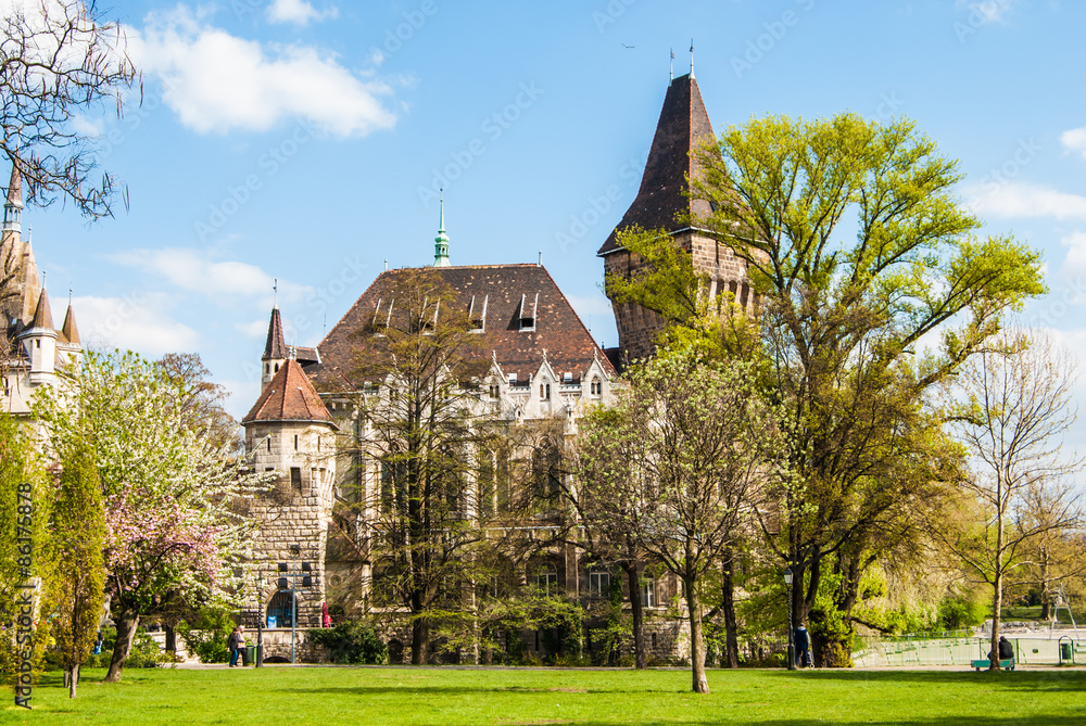 Obraz premium Vajdahunyad Castle