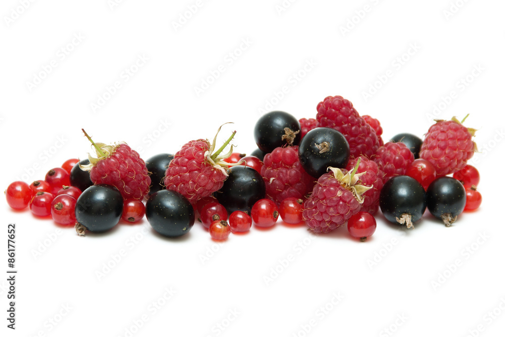Summer berry isolated on white background. Blackberry, raspberry, red currants. Summer berry isolated on white background. Blackberry, raspberry, red currants.