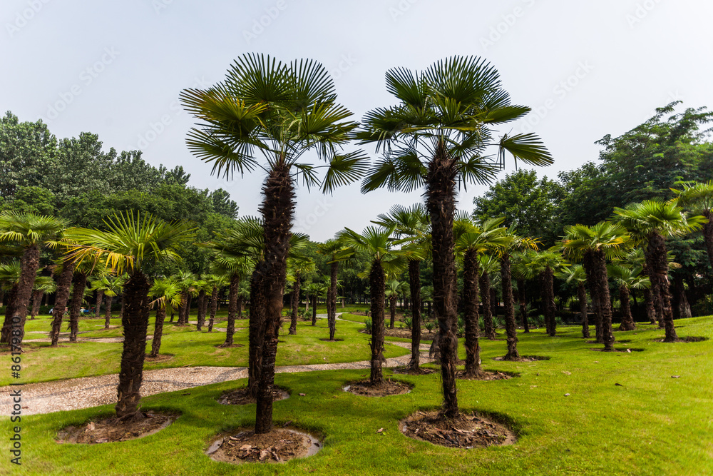 Park in Jiangyin Park in Jiangyin
