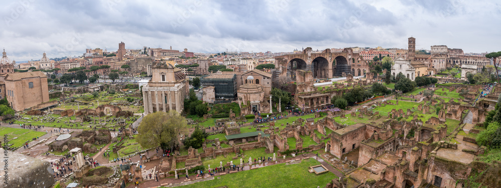 Naklejka premium View from Palatine Hill