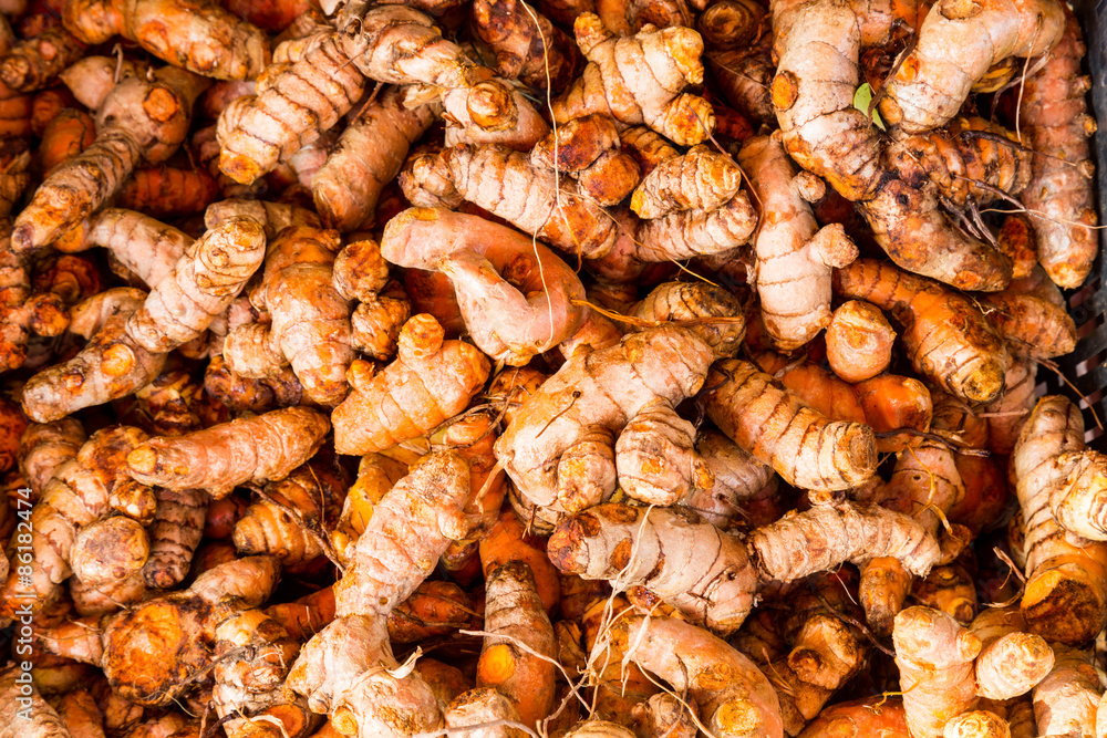 Heaps of freshly harvested turmeric roots Heaps of freshly harvested turmeric roots