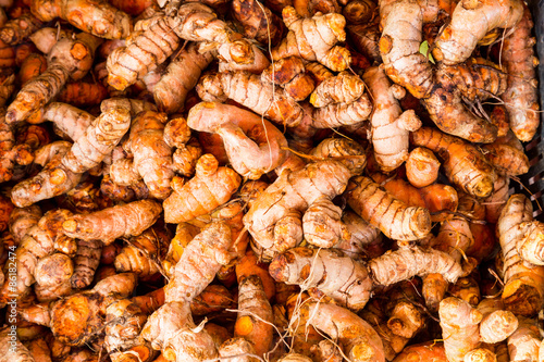 Heaps of freshly harvested turmeric roots