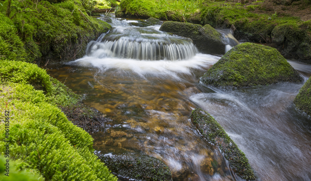 brook in forest , Sumava, Czech republic, Europe brook in forest , Sumava, Czech republic, Europe