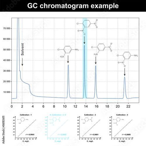GC chromatogram example