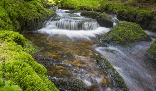 brook in forest , Sumava, Czech republic, Europe