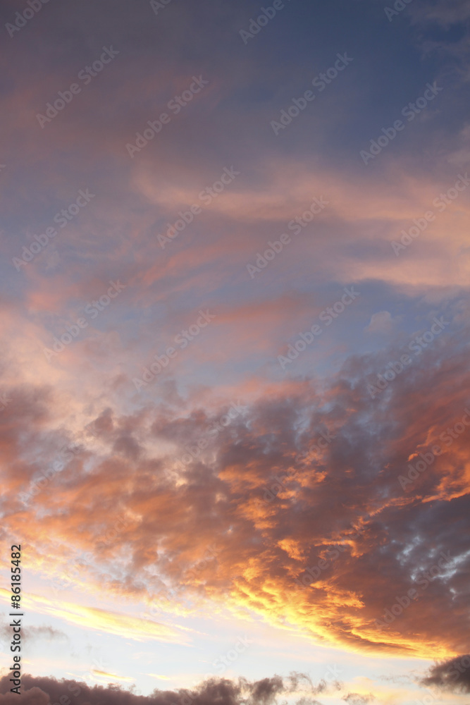Fototapeta premium Summer sky