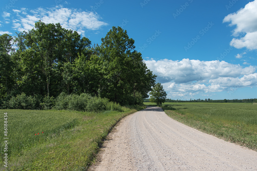 Naklejka premium Green landscape.