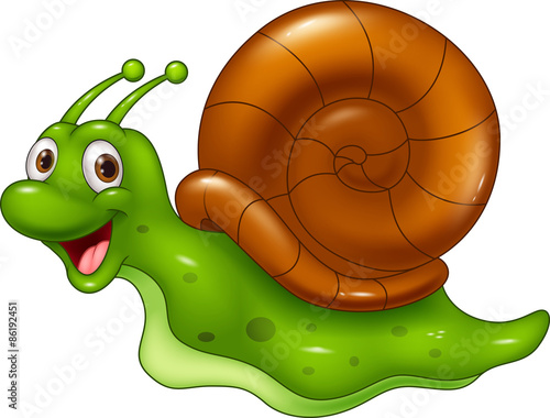 Cute cartoon snail on white background