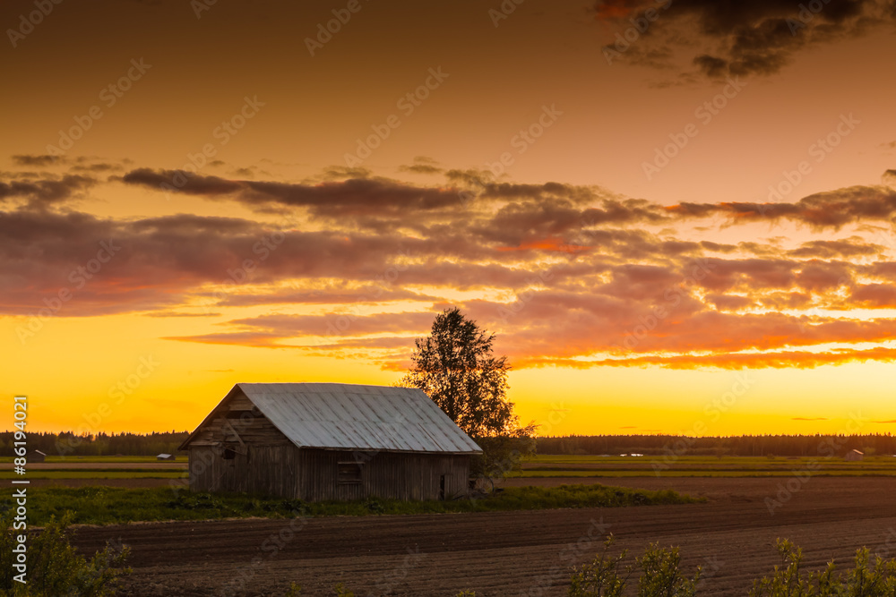 Golden Sunset On The Fields Golden Sunset On The Fields
