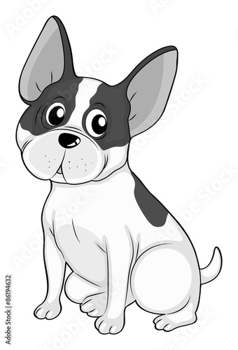 Puppy