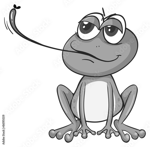 Frog eating bug