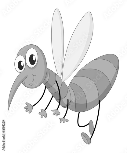 Mosquito