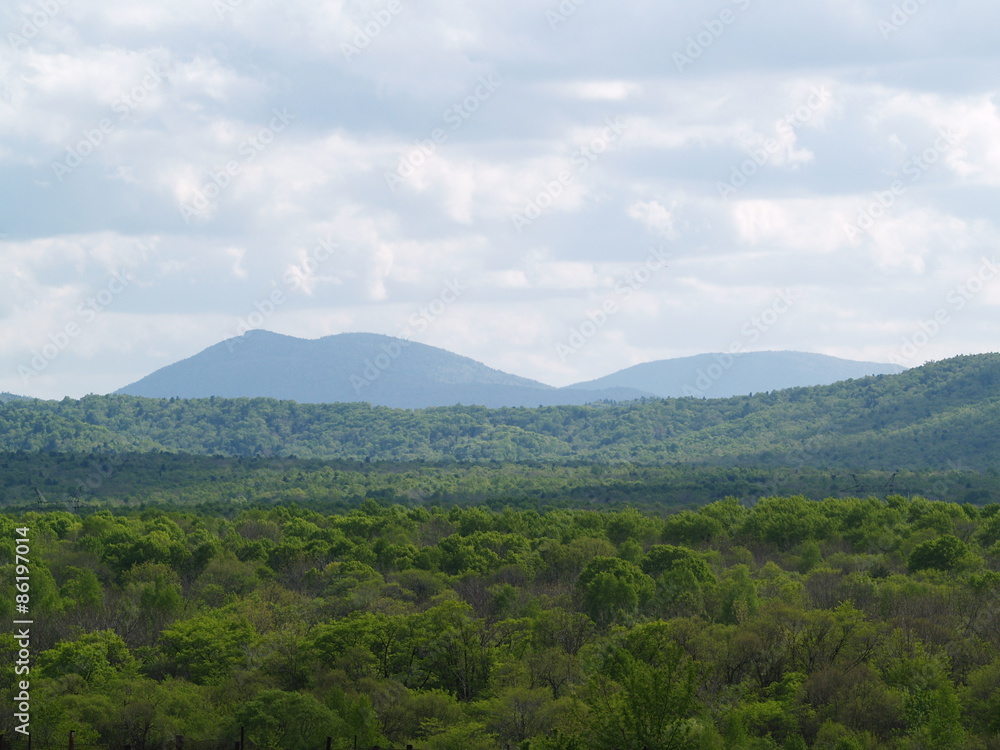 Fototapeta premium OLYMPUS DIGITAL CAMERA