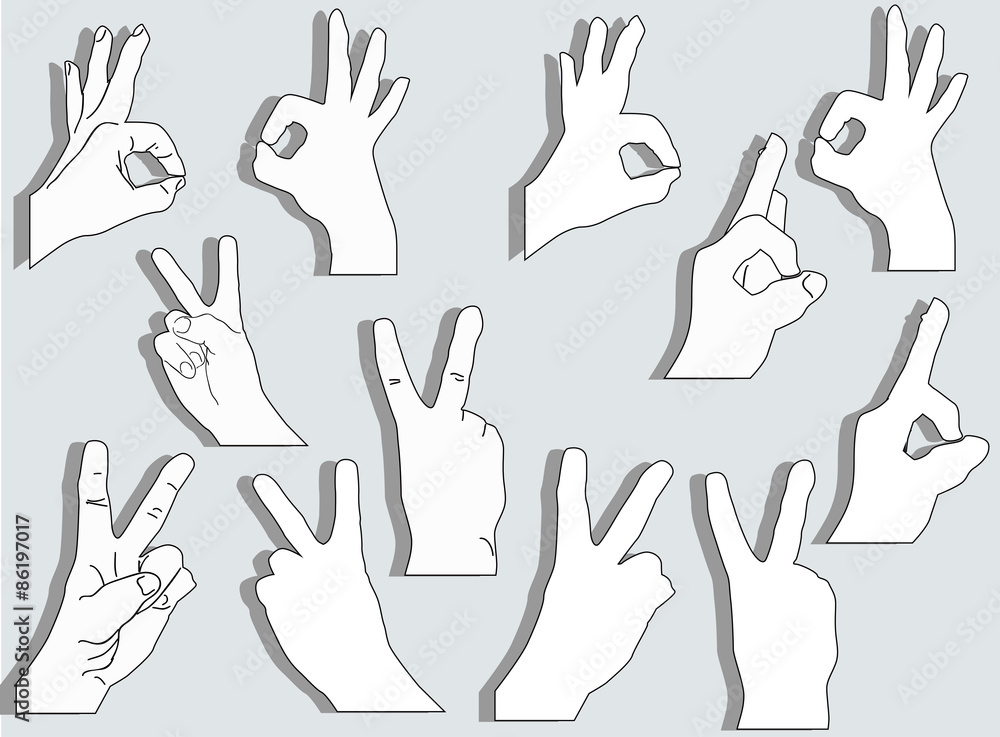 Fototapeta premium set of twelve hands isolated on grey