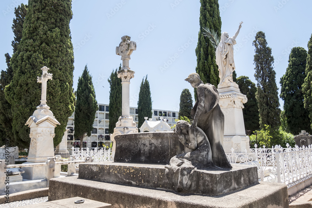Obraz premium Graves in the cemetery, graveyard