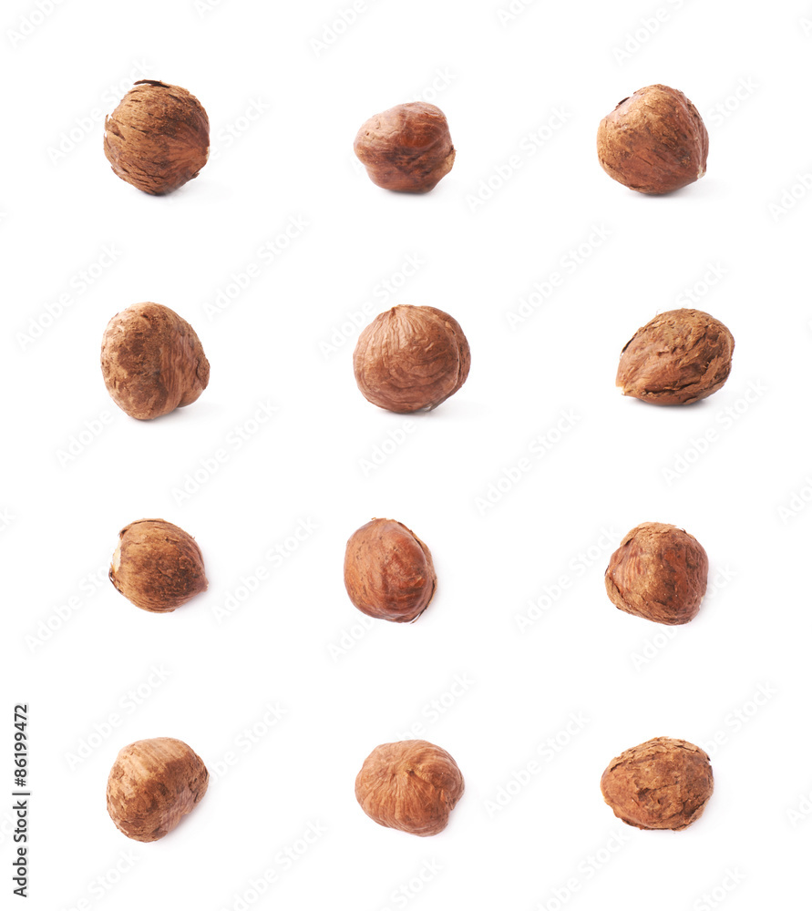 Single hazelnut isolated Single hazelnut isolated