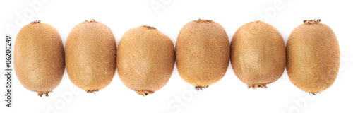 Line of six kiwifruits isolated