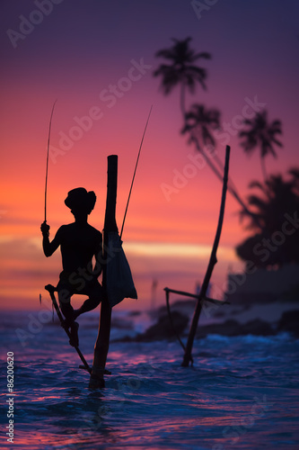 Sri Lanka's Stilt Fisherman photo