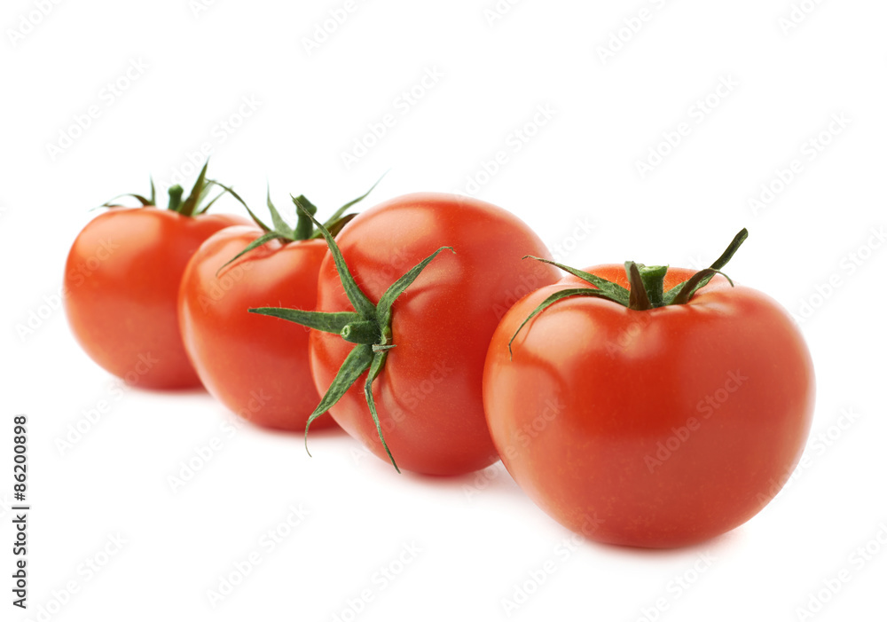 Four tomatoes in a line isolated Four tomatoes in a line isolated