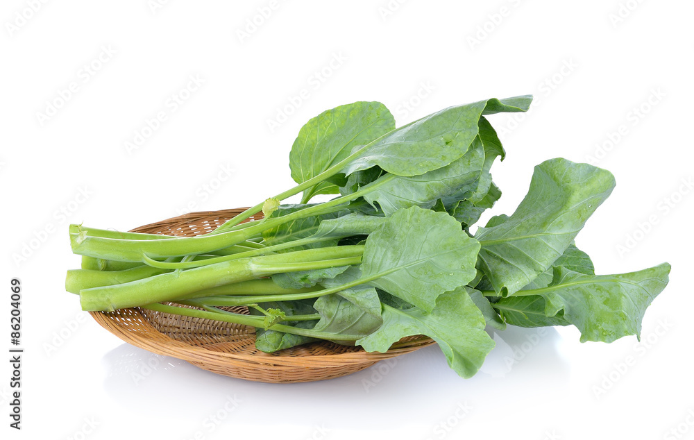 chinese broccoli on white background chinese broccoli on white background