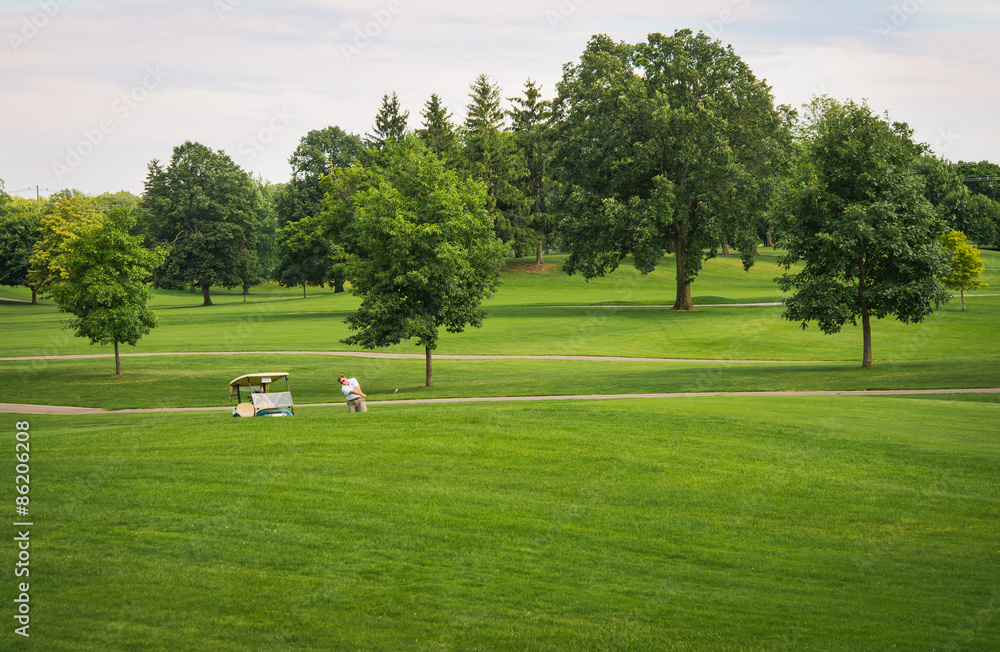 Fototapeta premium Summer on Golf Course