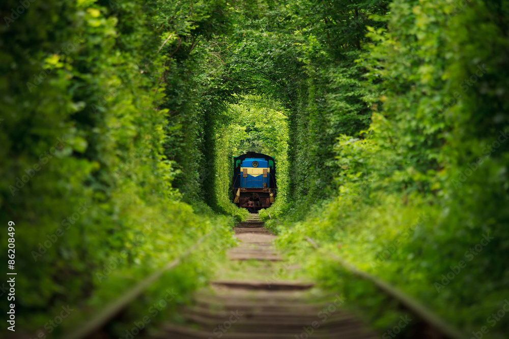 Fototapeta premium secret train 'tunnel of love' in ukraine