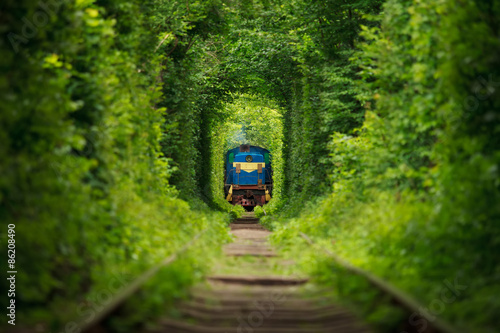 secret train 'tunnel of love' in ukraine. Summer
