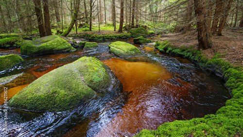 Photo brook in forest , Sumava, Czech republic, Europe