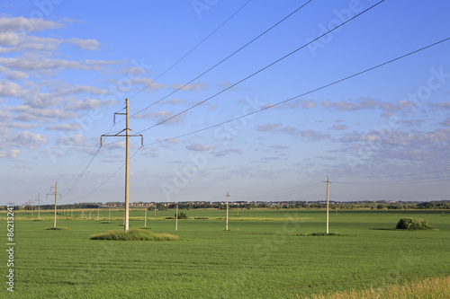 Power lines on green field with seedlings of cereals.