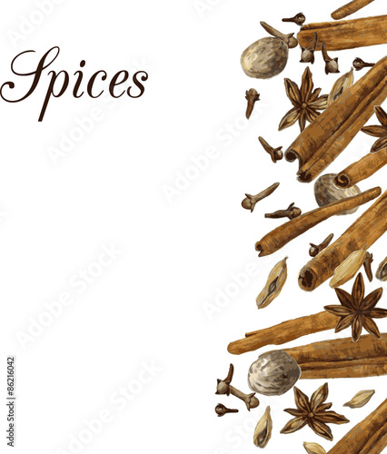 spices drawing by watercolor
