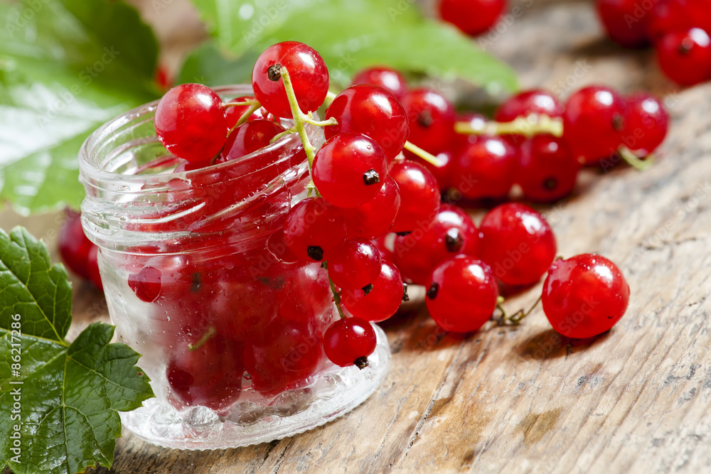 Fresh red currants with leaves in a small jar on a wooden table,