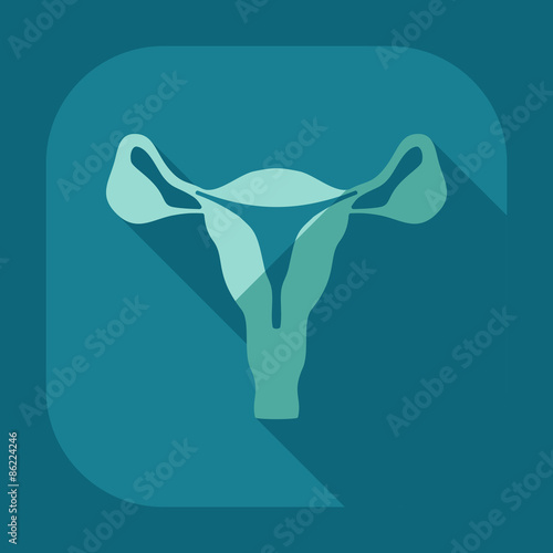 Flat modern design with shadow icons uterus