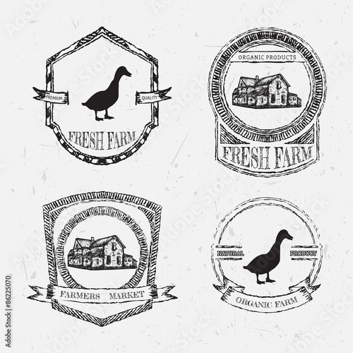 organic farm vintage chalk labels with farmhouse and duck on the grunge background. Retro hand drawn vector illustration poster in sketch style