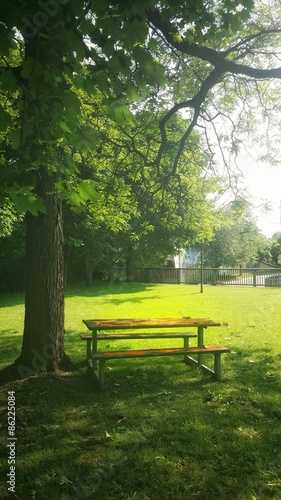 Picnic table in the city summer park