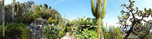 Panorama du Jardin Exotique de Monaco photo