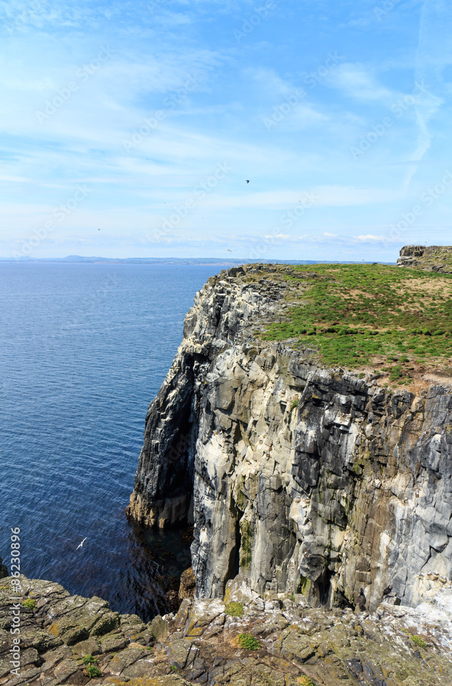 Isle of May, United Kingdom Isle of May, United Kingdom